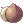 Coco Fresco